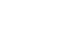 Senyo Global logo